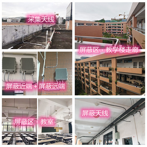  苍溪某中学考场屏蔽案例（数字信令级）